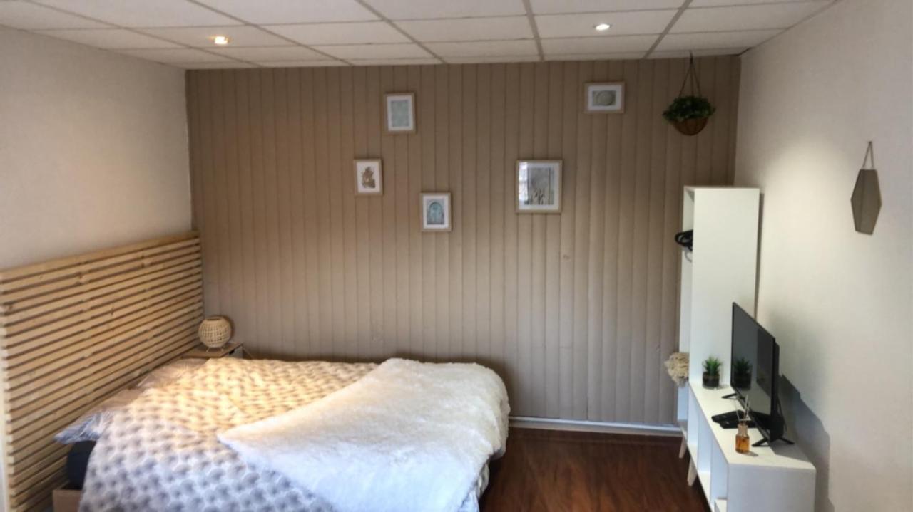 Le Printemps De Melusine Apartman Niort Kültér fotó